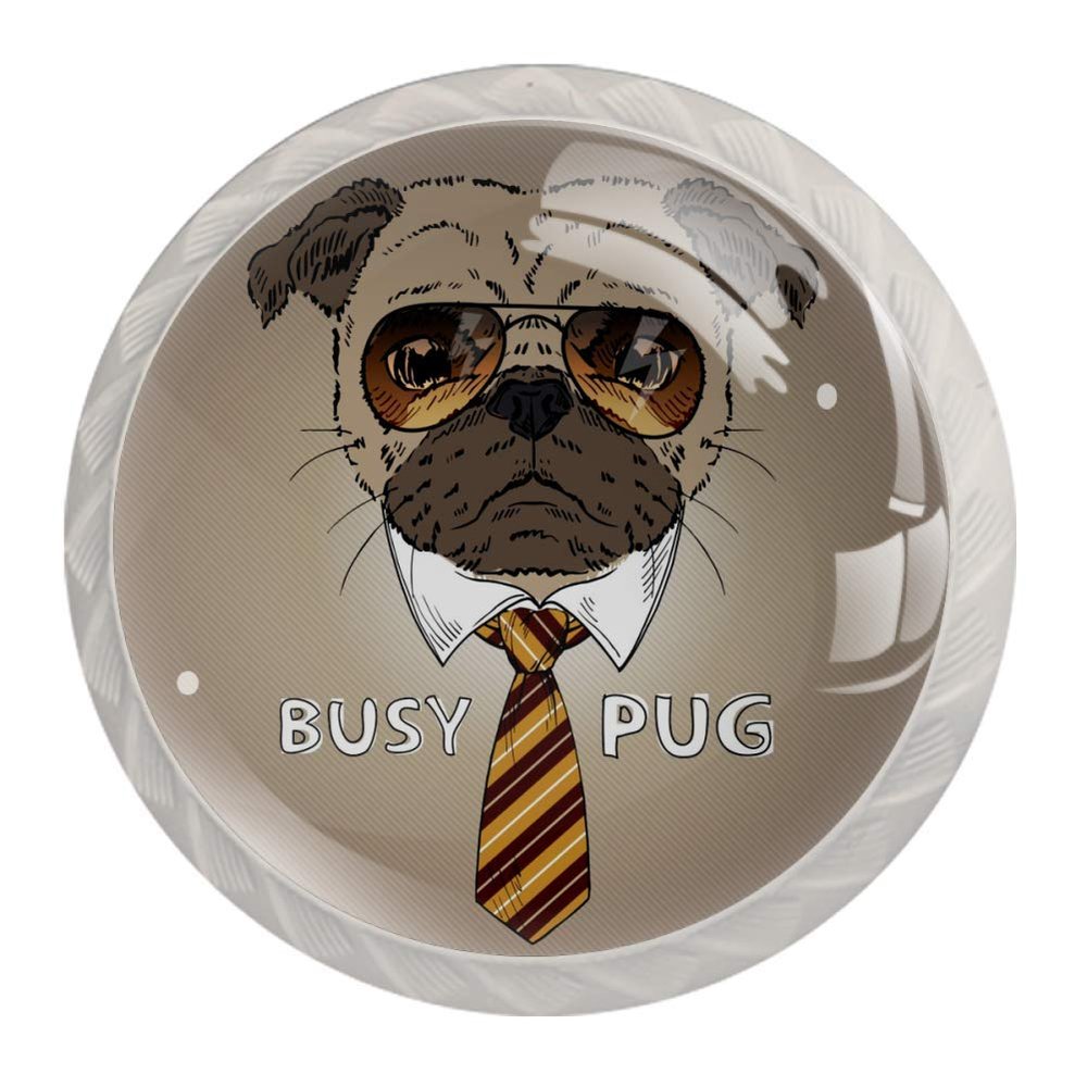 Cool Pug Face with Sunglasses Cabinet Knob
