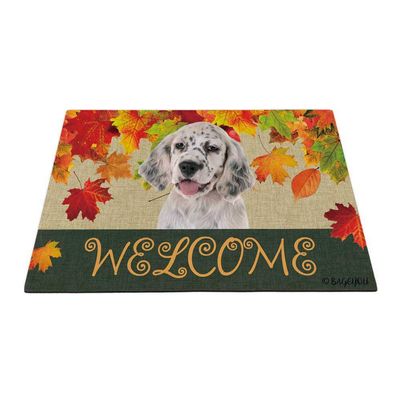 BAGEYOU Welcome Fall English Setter Doormat, 24 x 16 in