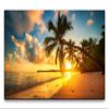 Paul Sinus Art XXL Palm Trees at the Beach 120 x 70 cm Canvas Wall Art view 1