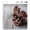 BilderKing Christmas Pinecone Canvas Wall Art, 50 x 50 cm, Stretched on a 2 cm Wood Frame view 2