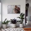 BilderKing Christmas Pinecone Canvas Wall Art, 50 x 50 cm, Stretched on a 2 cm Wood Frame view 3
