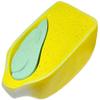 LBYLYH Plant Anatomy Model - Corn Kernel Anatomy Model for Biology Education view 3