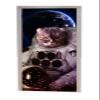 A.Monamour Self-Adhesive Door Wallpaper, 3D Astronaut Cat in Space, 77 x 200 cm view 2