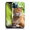 Head Case Designs Siberian Liger Case for Apple iPhone 12 Pro Max view 1