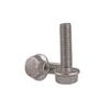 304 Stainless Steel Flange Hex Head Screws, M5–M12 view 1
