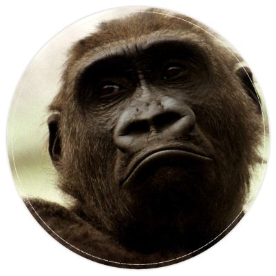 EZIOLY Black Gorilla Monkey Round Bath Mat, Non-Slip, Washable, 40 x 40 cm