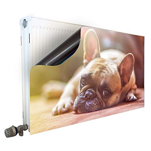 Smagnon Magnetic Radiator Cover with Pug Motif, for Radiators 50 cm H × 100 cm L