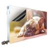 Smagnon Magnetic Radiator Cover with Pug Motif, for Radiators 50 cm H × 100 cm L view 1