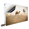 Smagnon Magnetic Radiator Cover, Camel Motif, 30 × 130 cm view 1