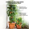25 Garden Stakes, 11 mm x 60 cm, Sturdy Plant Supports view 4