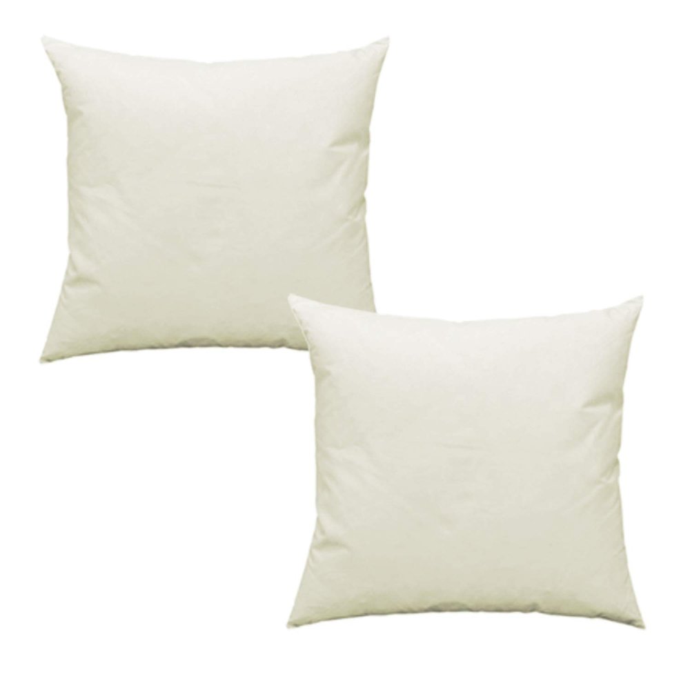 Haus und Deko 2-Pack Feather Cushion Inserts, Cotton, 60 x 60 cm