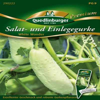 Quedlinburger 290222 White Wonder Cucumber (Salad Cucumber Seeds)