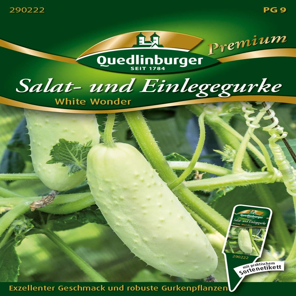 Quedlinburger 290222 White Wonder Cucumber (Salad Cucumber Seeds)
