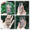 FHUILI Squid Specimen, Real Animal Embedded in Resin, Biology Teaching Model view 2