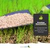 ProSementis PS-1414 Lawn Seed for Shade and Sun, 3 kg view 3