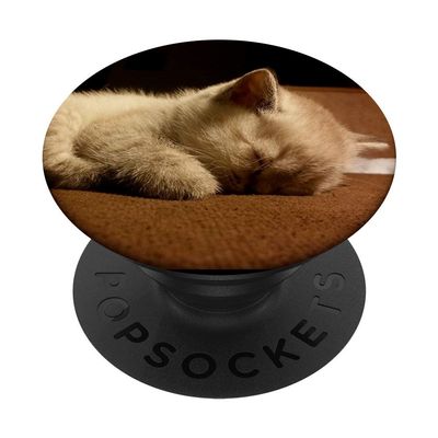 Sleeping White Cat Baby Kitten PopSockets PopGrip: Expandable Stand and Grip for Phones/Tablets with Swappable Top