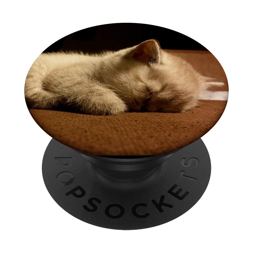 Sleeping White Cat Baby Kitten PopSockets PopGrip: Expandable Stand and Grip for Phones/Tablets with Swappable Top