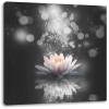 Pixxprint Magical Lotus Blossom with Glitter Dust B&W Detail, 70 x 70 cm, Square Stretched Canvas view 1