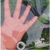 FENGSHOUU Transparent PVC Waterproof Tarp, 0.4 mm, 400 gsm view 3