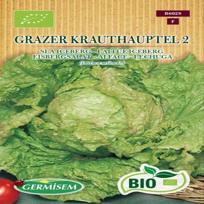 Germisem Grazer Krauthauptel 2 Iceberg Lettuce, ECBIO6028