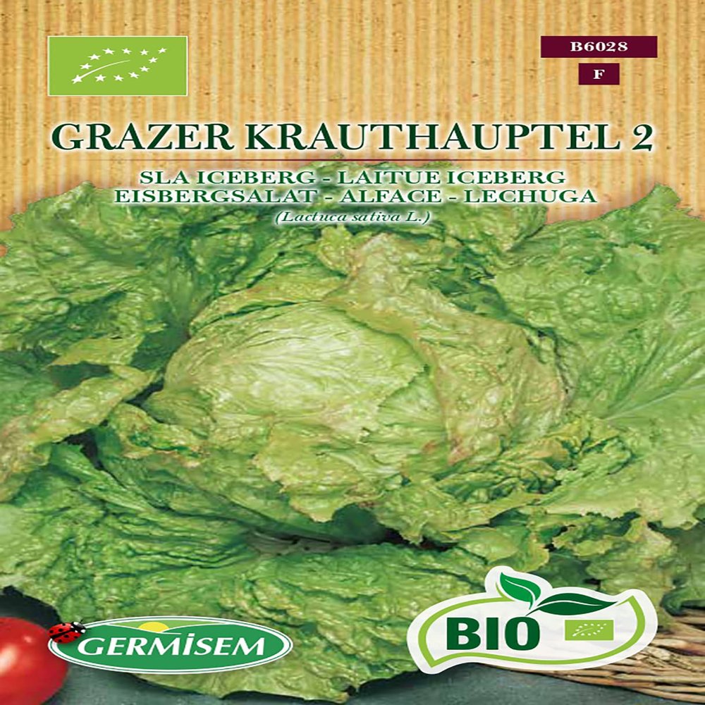 Germisem Grazer Krauthauptel 2 Iceberg Lettuce, ECBIO6028