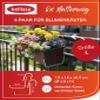 bellissa Flower Box Holder L, 8-Piece Set, Steel Wire, 7.5 x 16 x 16.5 cm view 2