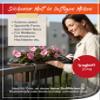 bellissa Flower Box Holder L, 8-Piece Set, Steel Wire, 7.5 x 16 x 16.5 cm view 3