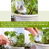 LOCOLO 4-Pack Large Plant Watering Globes, 26.5 x 8 cm, Self-Watering PVC Dispensers view 2