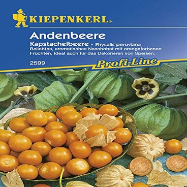 Kiepenkerl 2599 Cape Gooseberry (Andean Berry Seeds)