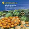 Kiepenkerl 2599 Cape Gooseberry (Andean Berry Seeds) view 1