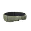 Tasmanian Tiger TT Warrior Belt MK IV MOLLE-Compatible Equipment Belt, Tactical Duty Belt, Olive view 1