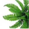 PiniceCore 24 Artificial Fern Grass Plants with Large Green Persian Leaves for Garden and Wedding Decoration view 4
