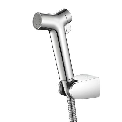 Chrome Bidet Hand Sprayer Set for Toilet, Wall-Mounted, Cold Water