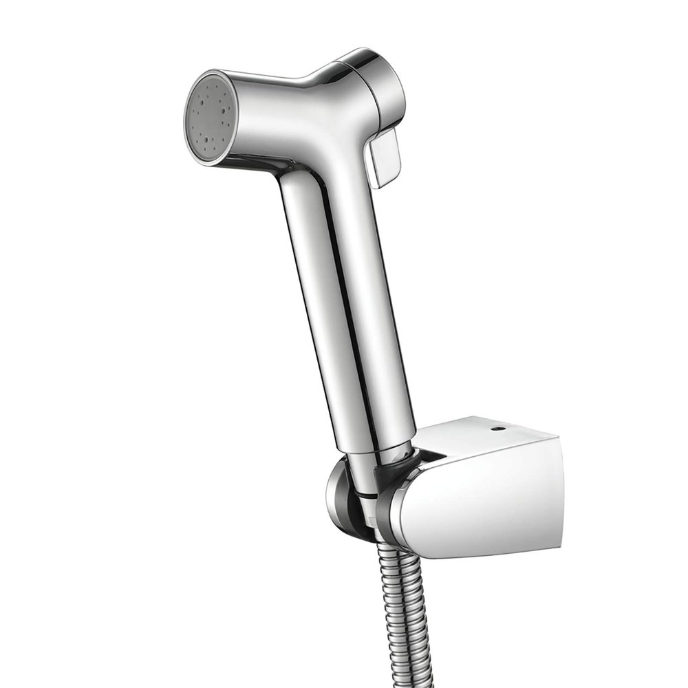 Chrome Bidet Hand Sprayer Set for Toilet, Wall-Mounted, Cold Water