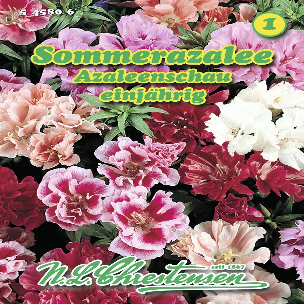 N.L. Chrestensen 545806 Summer Azalea 'Azaleenschau' Seeds