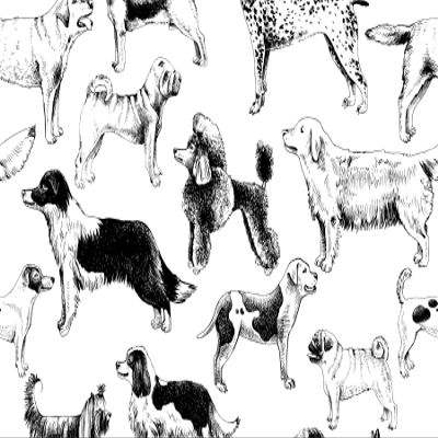 Muralo Black-and-White Drawn Dogs Non-Woven Photo Wallpaper - 416 x 254 cm