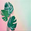 Muralo Non-Woven Photo Wallpaper, Tropical Jungle Flowers, XXL, 405 x 270 cm view 2