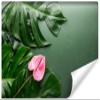 Muralo Nonwoven Tropical Jungle Floral Photo Wallpaper, XXL, 315 x 210 cm view 1