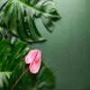 Muralo Nonwoven Tropical Jungle Floral Photo Wallpaper, XXL, 315 x 210 cm view 2