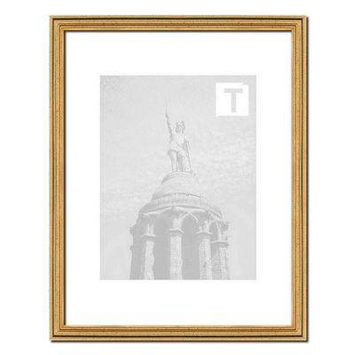Baroque Picture Frame Imke Gold 35 x 100 cm, 2 mm Anti-Glare Acrylic Glazing, Delicate Metal