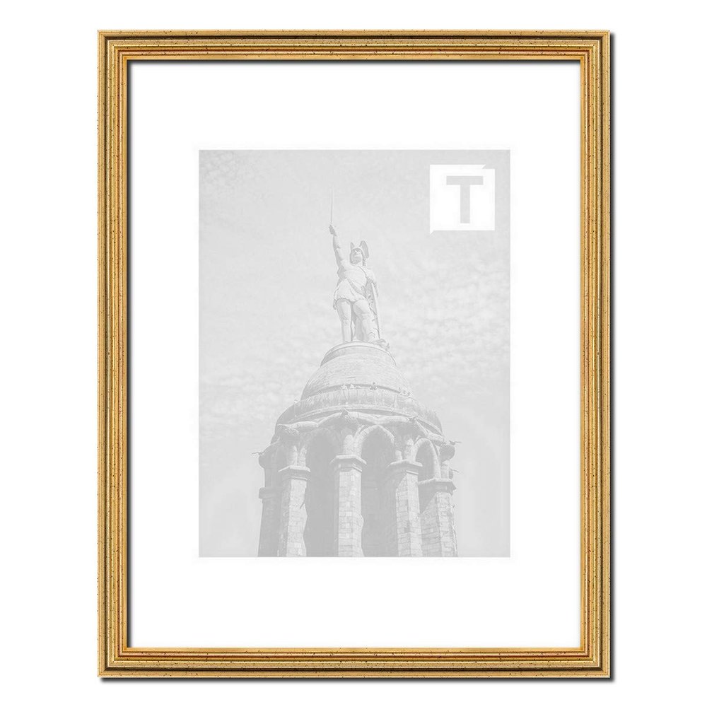 Baroque Picture Frame Imke Gold 35 x 100 cm, 2 mm Anti-Glare Acrylic Glazing, Delicate Metal