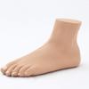 LBYLYH Educational Flatfoot Arch Collapse Anatomy Model view 3