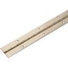 Gedotec Screw-On Piano Hinge, Nickel-Plated Steel, 900 x 32 mm, 1 Piece view 1
