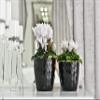 Tymar 2-Pack Flower Pots, Glossy Lightweight Decorative Plastic Planters, Modern Round Shape, 18 cm, Black view 4
