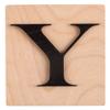 Rayher Wooden Letter Y, FSC Mix Credit, 10.5 x 14.8 cm Wood Tile, Black 3D Letter, 63116576 view 1