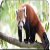Extended Gaming Mouse Pad, Pandas-Riese Panda Professional, Stitched Edges view 1