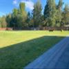 H4L Willow Privacy Screen Fence, Windbreak, 150 cm x 3 m view 4
