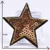 10pcs Sequin Star Iron-On Patches view 4