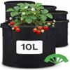 Praknu 5-Pack 10 L Fabric Planting Bags for Vegetables view 1