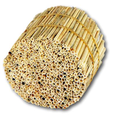 BeeCasa Fine Reed Tubes – Natural Nesting Aids, 11 cm
